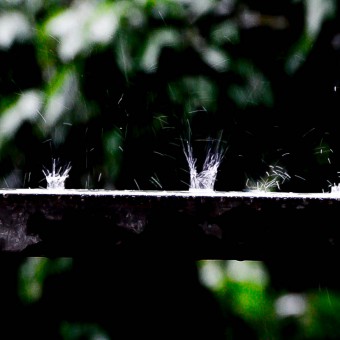 Monsoon Rain Drops